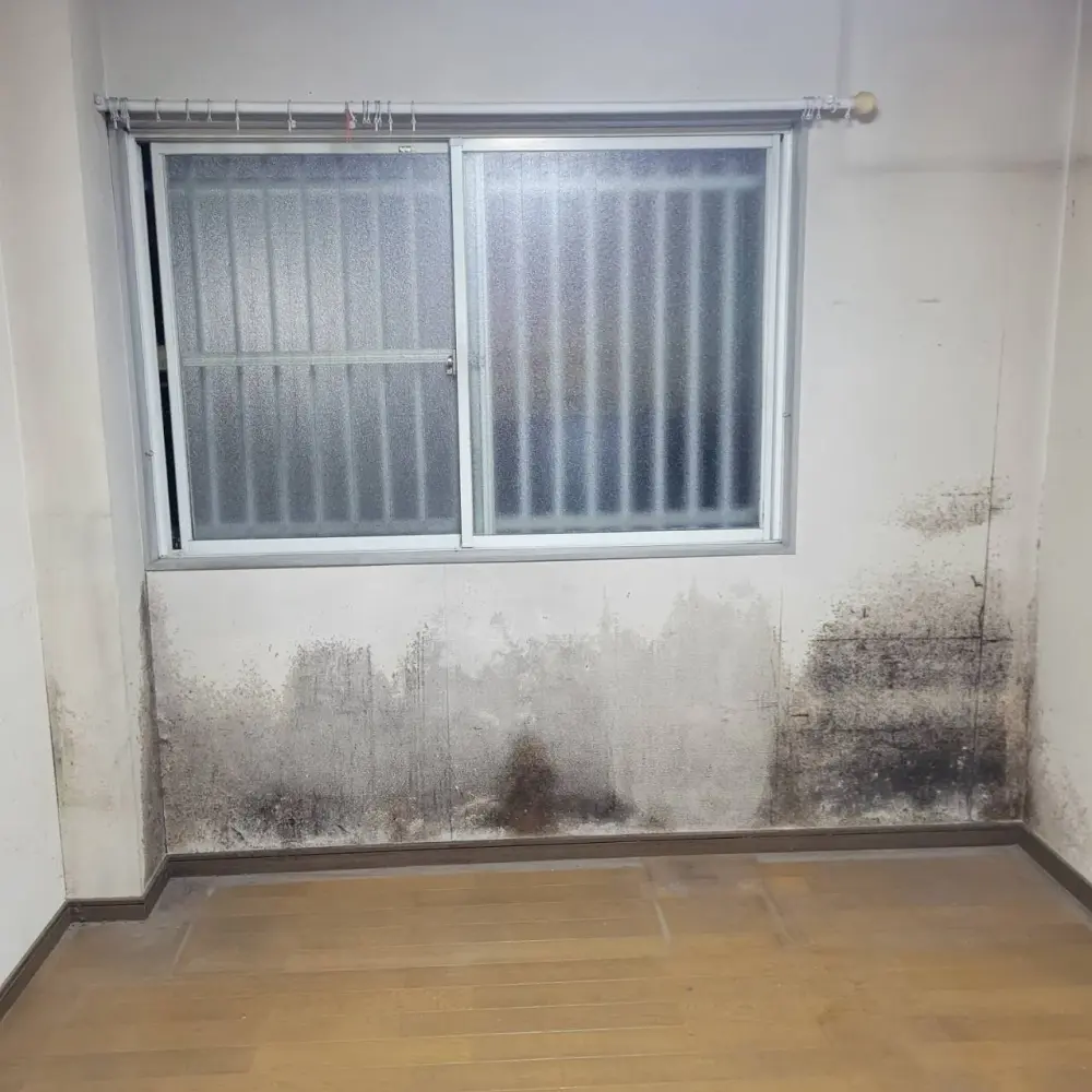 北九州市八幡東区家屋の遺品整理 画像4
